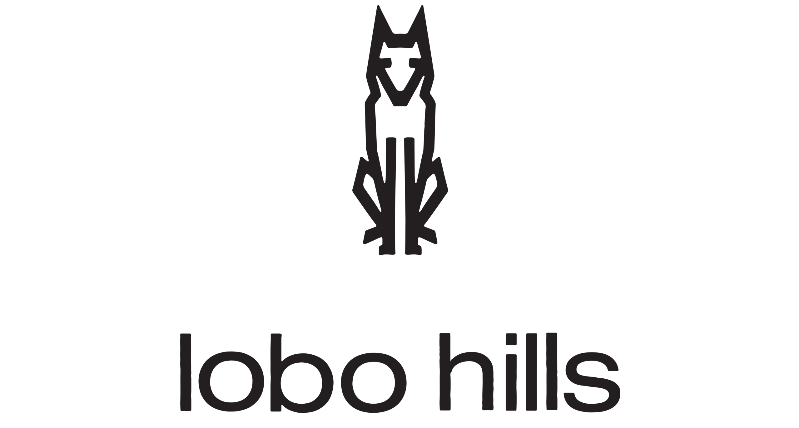 Lobo Hills Wine Co. logo featuring a stylized wolf and modern typography, representing premium wine brand and vineyard in Was.
